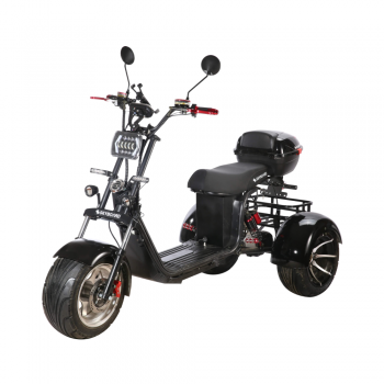 Электроскутер CityCoco SKYBOARD TRIKE BR60-3000 PRO Trike