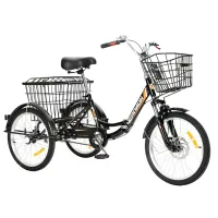 Трехколесный велосипед для взрослых РВЗ Чемпион 20" 1 скорость (складной) 